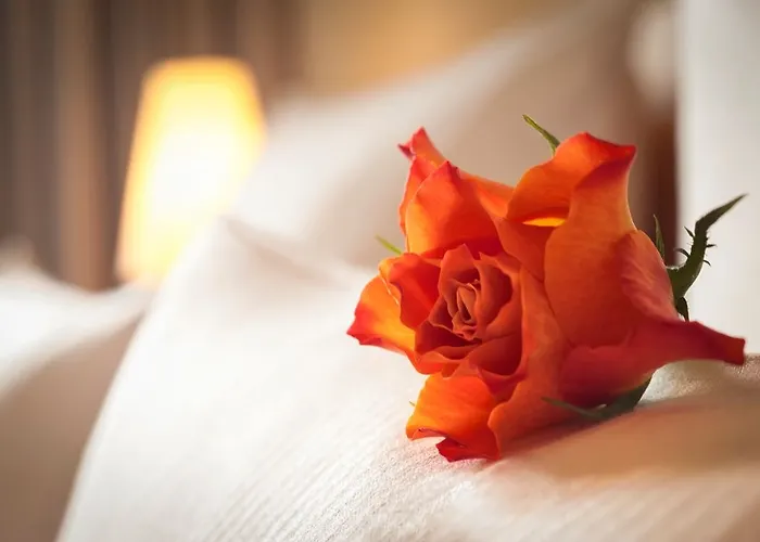 Hotel Essential By Dorint Koeln-junkersdorf Keulen